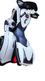 Electric Bike - Image 2